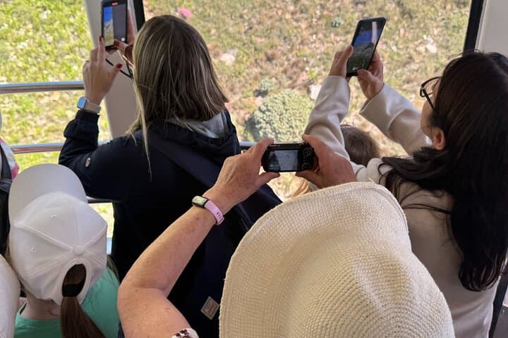 Skip-the-Line Table Mountain Cable Car: Fast-Track Summit Access & Self-Guided Visit photo 2