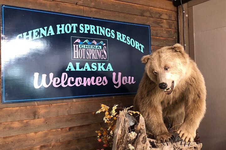 Northern Lights & Chena Hot Springs: Fairbanks Evening Aurora Soak photo 3