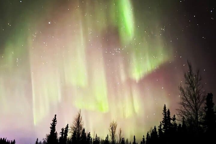 Northern Lights & Chena Hot Springs: Fairbanks Evening Aurora Soak photo 5