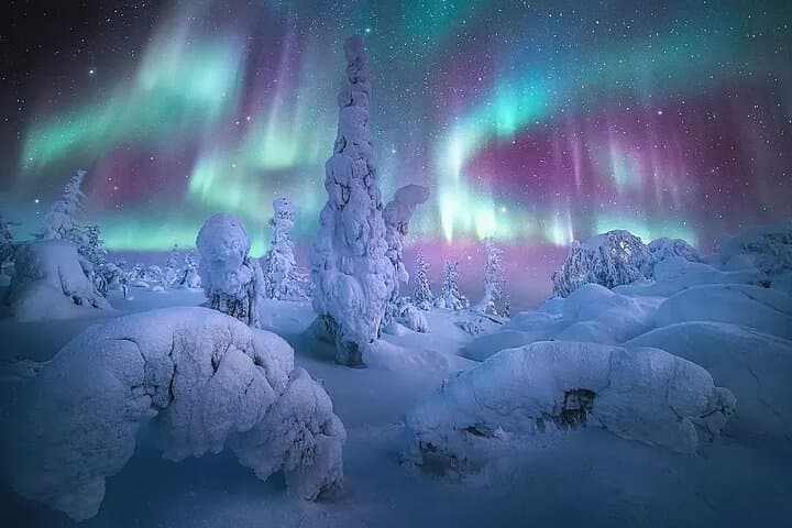 Exploring Alaska’s Arctic Circle: Northern Lights Adventure from Fairbanks photo 2