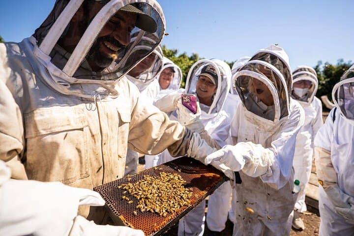 Meet the Bees: Guided Apiary Tour & Honey Tasting in Ojai Valley photo 3