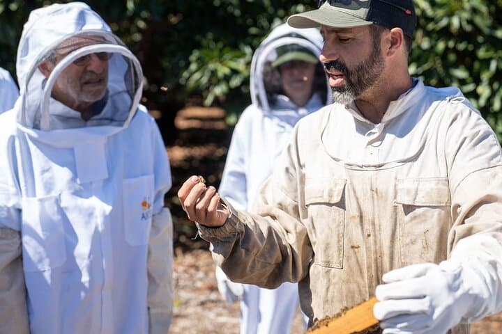 Meet the Bees: Guided Apiary Tour & Honey Tasting in Ojai Valley photo 4