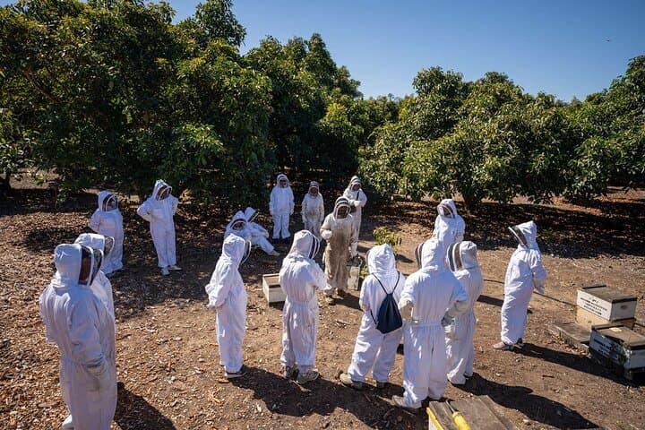 Meet the Bees: Guided Apiary Tour & Honey Tasting in Ojai Valley photo 5