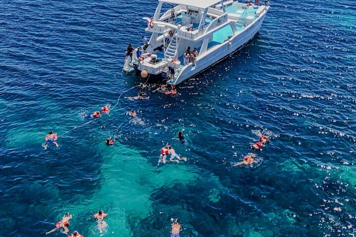 Catamaran to Isla Catalina: Full-Day Snorkel & Beach Escape from Punta Cana photo 4