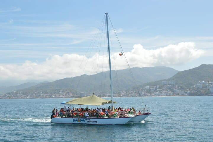 All-Inclusive Whale Watching in Puerto Vallarta: Catamaran Tour with Marine Biologist photo 4
