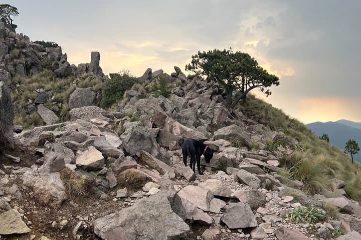 Pico del Águila Devil's Backbone Hike from Mexico City — 3,880m Summit Day Trip photo 5
