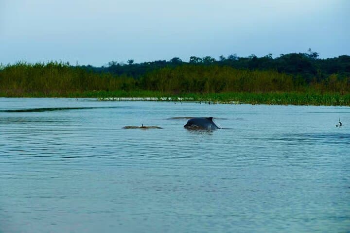 Three Borders Tour in the Amazon: Leticia's One-Day Cross-Border River Experience photo 3