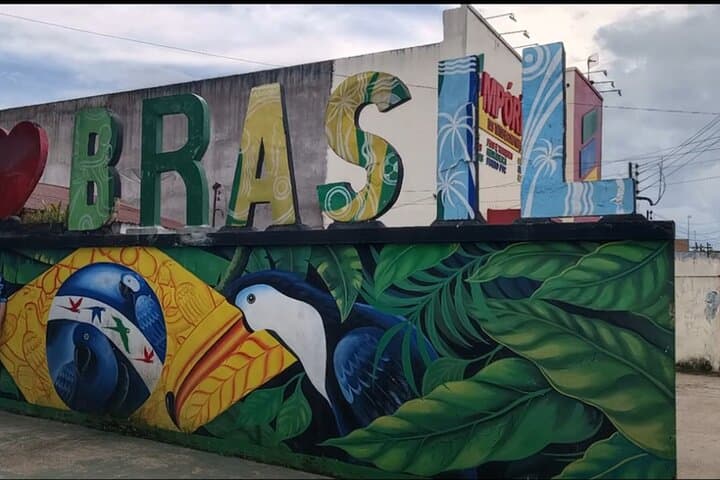 Three Borders Tour in the Amazon: Leticia's One-Day Cross-Border River Experience photo 5