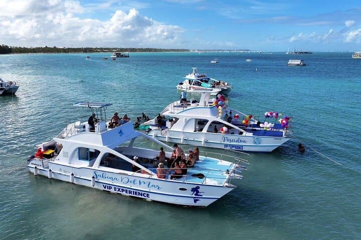 Dive and Dance: Snorkeling Cruise Party in Punta Cana