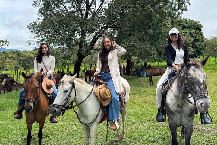 Horseback Riding Through Boquete’s Cloud Forest to Volcán Barú Views photo 5