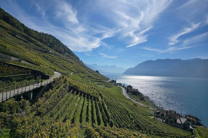 Geneva to Gruyères: Chocolate, Wine & Cheese Day Trip to Lavaux and Broc photo 2
