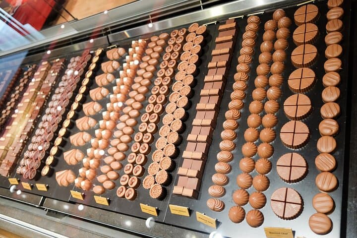 Geneva to Gruyères: Chocolate, Wine & Cheese Day Trip to Lavaux and Broc photo 3