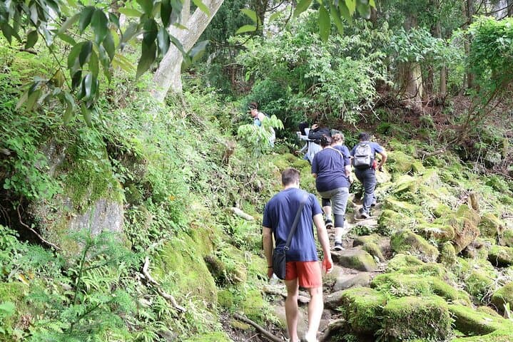 Mt Nokogiri Guided Hike — Jigoku Nozoki, Nihon-ji & Ropeway on the Boso Peninsula photo 3
