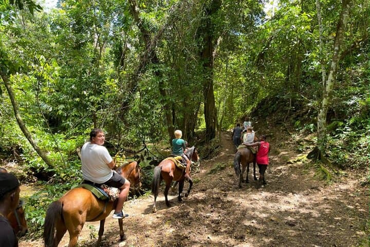 Full-Day Samaná Adventure: Cayo Levantado, Horseback to El Limón Waterfall photo 3