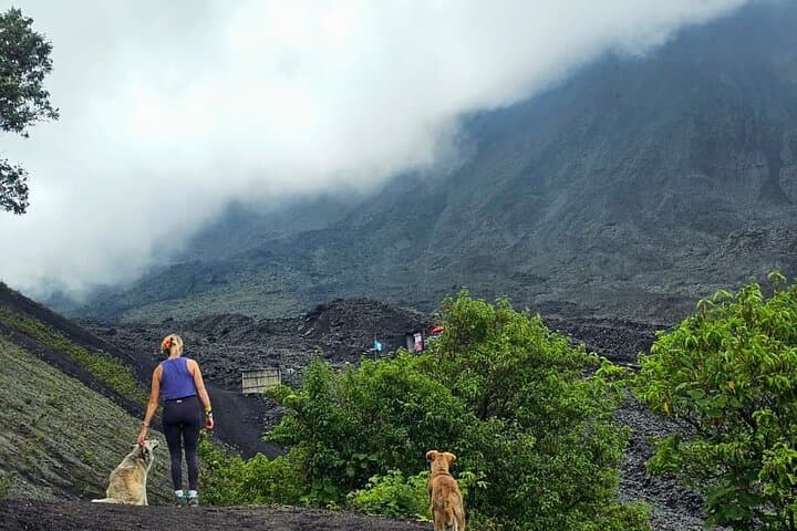 Shuttle to Pacaya Volcano from Antigua: Day Hike to Lava Flows photo 2
