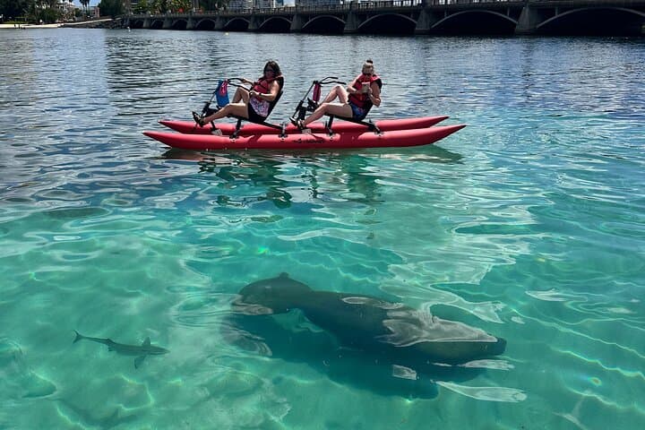 Pedal Condado Lagoon: Chiliboats Waterbike Eco-Tour in San Juan photo 2