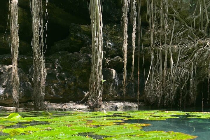 Uxmal, Two Cenotes & Mayan Cuisine Day Trip from Mérida photo 6