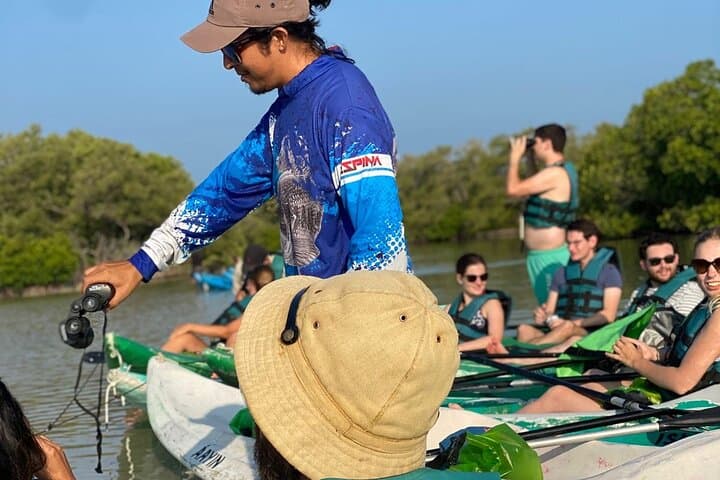 Sunrise Kayak Through Holbox Mangrove Labyrinth: Wildlife & Dawn Colors photo 6