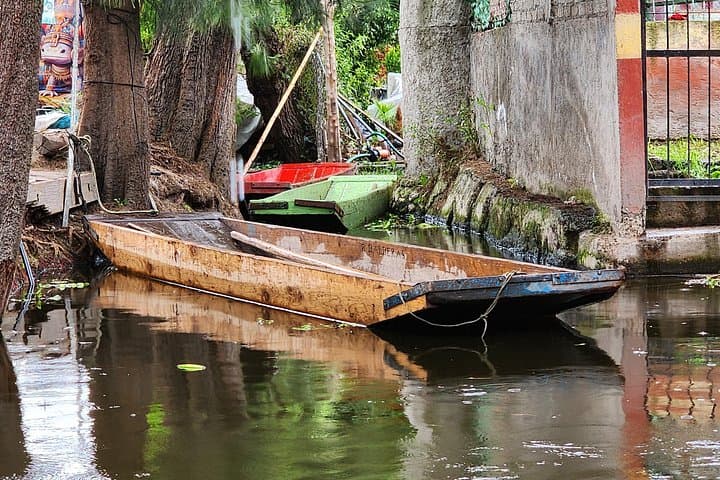 Trajineras Mezcal Tasting and Guacamole Experience in Xochimilco, Mexico City photo 4
