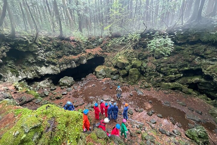 Hiking and Caving Aokigahara Jukai: Mt. Fuji's Lava Forest Ecotour photo 2