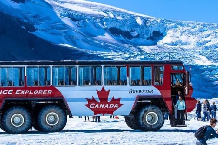 Banff to Columbia Icefield Day Trip: Peyto Lake, Crowfoot Glacier & Icefields Parkway
