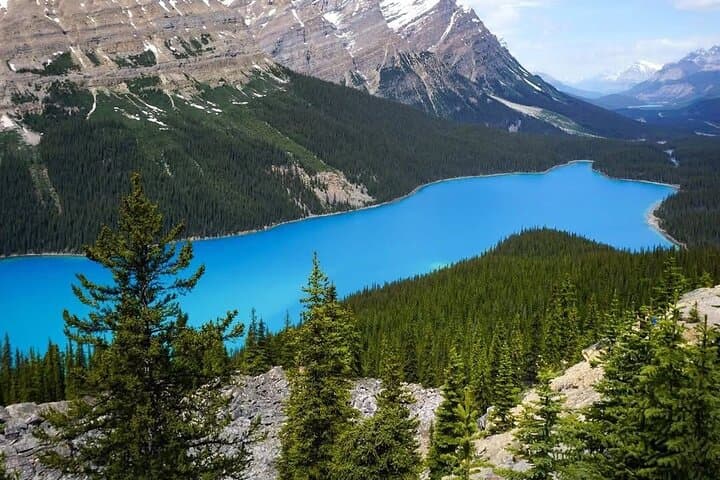 Banff to Columbia Icefield Day Trip: Peyto Lake, Crowfoot Glacier & Icefields Parkway photo 4