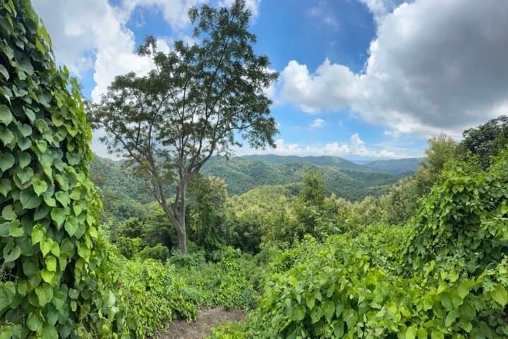 Cebu City Guided Trekking: 17km Waterfall Hike & Mountain Lunch photo 4
