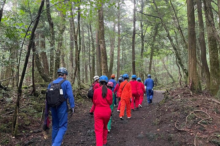Hiking and Caving Aokigahara Jukai: Mt. Fuji's Lava Forest Ecotour photo 4