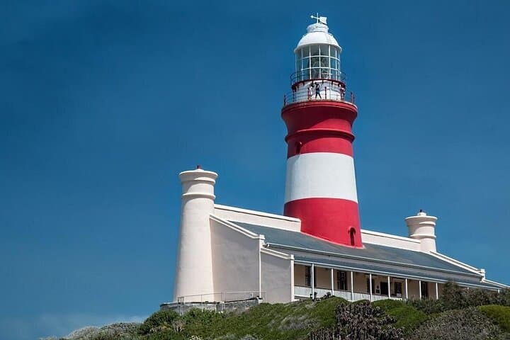 Cape Agulhas Private Day Tour from Cape Town — Southernmost Tip & Seasonal Whale Watching photo 2