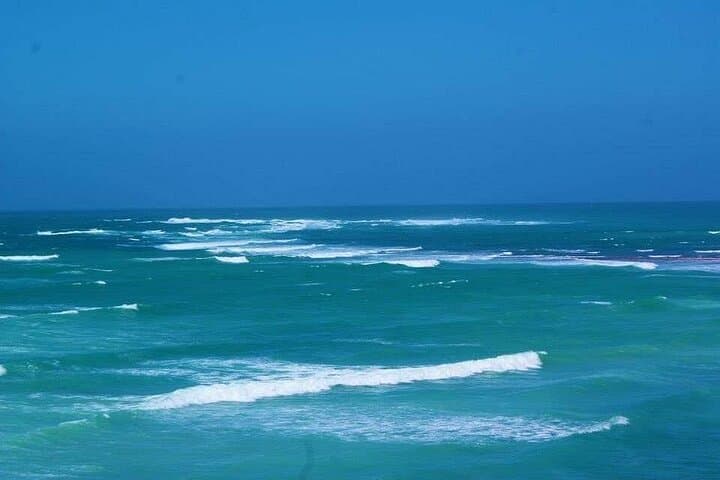 Cape Agulhas Private Day Tour from Cape Town — Southernmost Tip & Seasonal Whale Watching photo 4