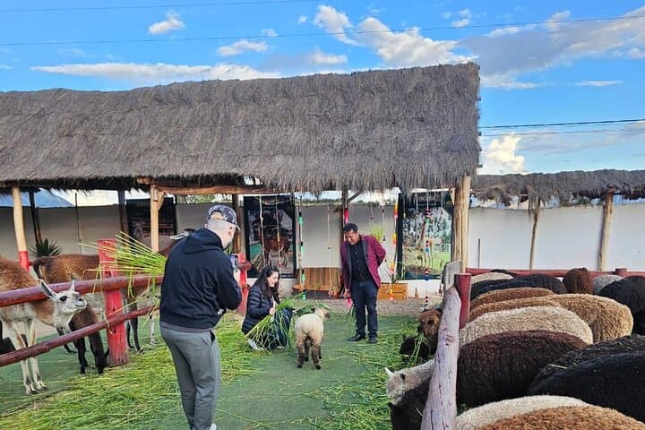 2-Day Private Machu Picchu & Sacred Valley Tour from Cusco photo 6