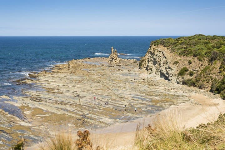 Bunurong Coast and Penguin Parade Private Tour: Phillip Island Penguin Experience photo 4