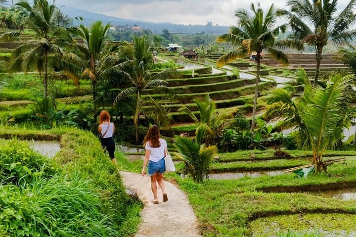 North Bali Nature & Heritage Day Tour — Ulun Danu, Waterfalls, Twin Lakes & Jatiluwih photo 2
