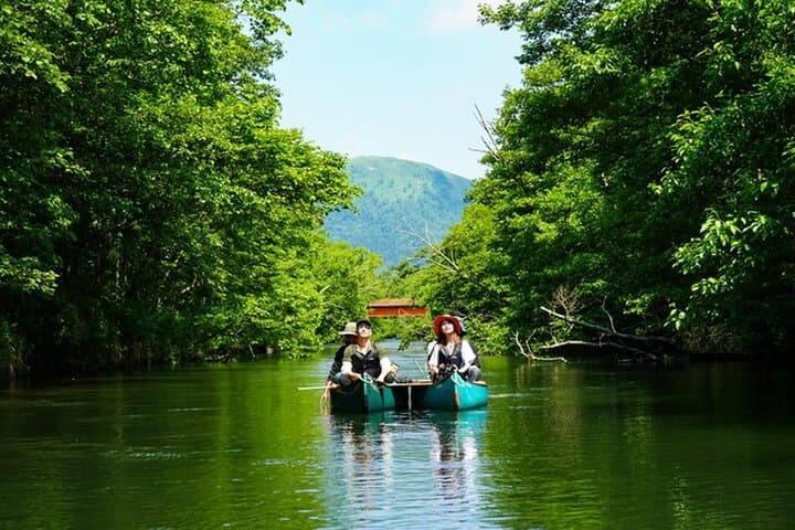 Paddle to the Secret Source: Akan Mashu Bird Canoe Guide in Hokkaido