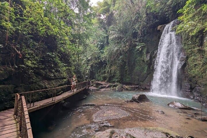 Private Ubud Tour: Monkey Forest, Tegalalang Rice Terrace & Waterfall photo 3