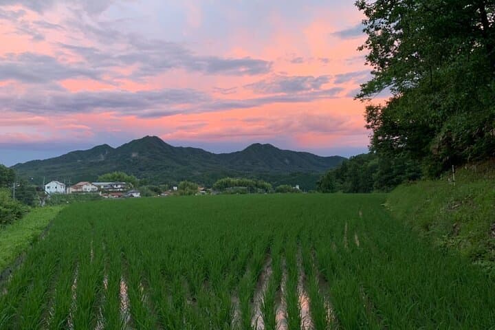 Hiroshima Forest Kyudo and Village Life Experience — Kyudo, Shojin Ryori & Rice-Field Walk