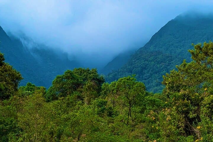 Gorilla Tracking in Volcanoes National Park — Day Trip with Hotel Pickup photo 6