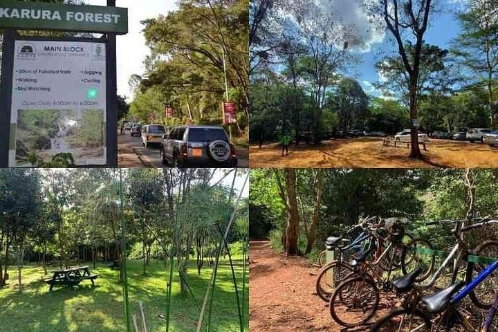 Karura Forest to Fairview Coffee Farm: Private Day Tour from Nairobi photo 3