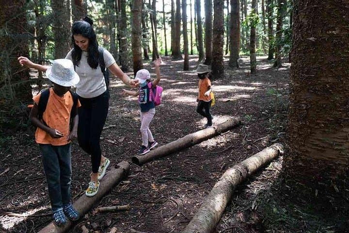 Karura Forest to Fairview Coffee Farm: Private Day Tour from Nairobi photo 4