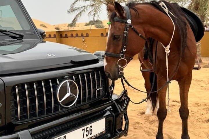 VIP G‑Class Desert Safari in Dubai — Luxury Dune Bashing, Camel Rides & BBQ photo 6