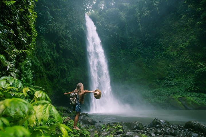 Private Bali Landscapes Tour: Sangeh Monkeys, Nungnung Falls & Jungle Swing photo 1