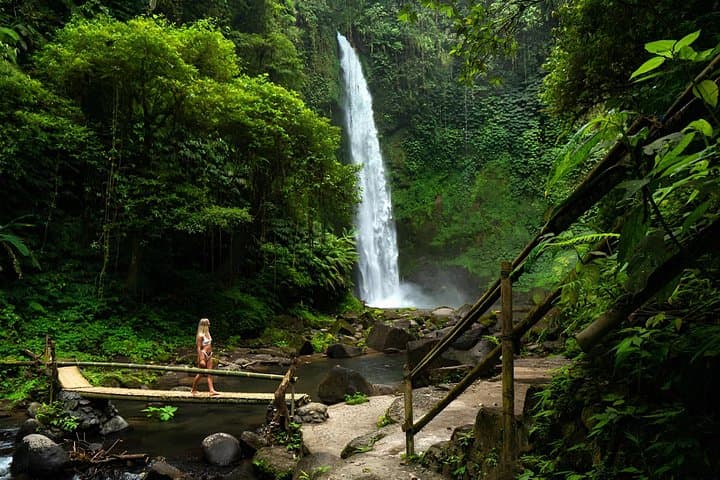 Private Bali Landscapes Tour: Sangeh Monkeys, Nungnung Falls & Jungle Swing photo 3