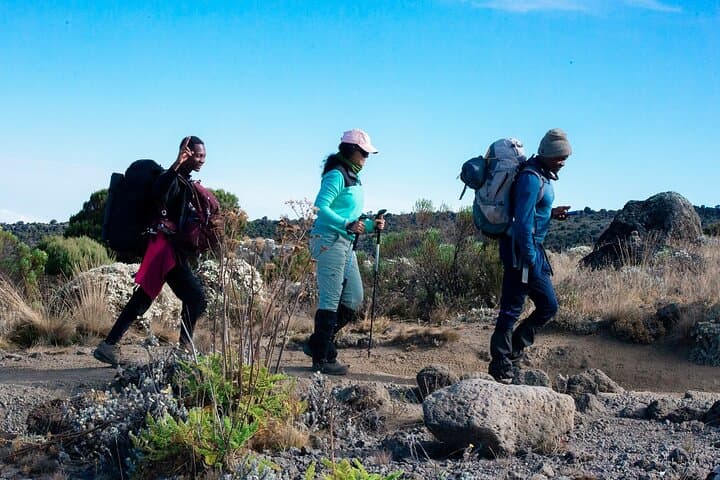 6-Day Machame Route Guide to Summit Mount Kilimanjaro photo 4