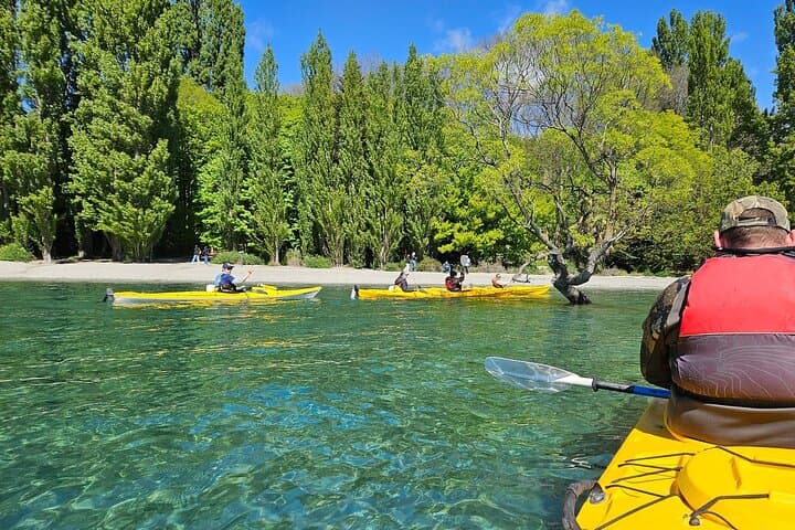 Glide Lake Wanaka: Roy's Bay 7km Guided Kayak Tour photo 5