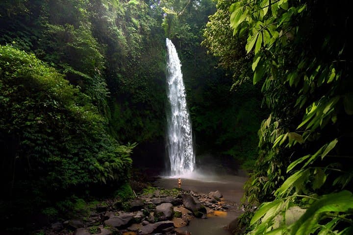 Private Bali Landscapes Tour: Sangeh Monkeys, Nungnung Falls & Jungle Swing photo 2