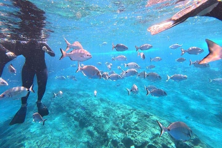 Snorkel the Ilhéu: Glassy Waters and Volcanic Reefs Off Vila Franca do Campo photo 3