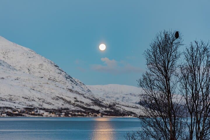 Private 5-Fjords Minivan Tour from Tromsø — 4-Hour Scenic Drive photo 5