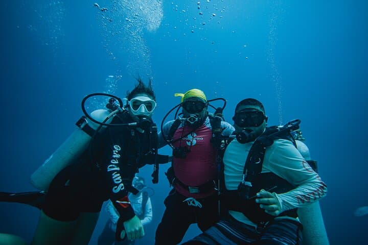 Great Blue Hole Belize: Full-Day 3-Tank Dive at Lighthouse Reef Atoll photo 5