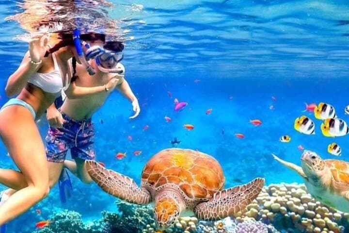 Blue Lagoon Snorkeling and East Bali Adventure - Padangbai Day Trip