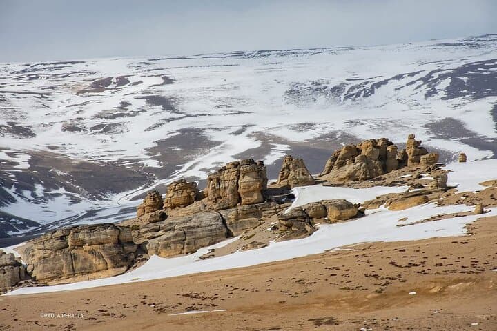 Panoramic Geological Trek to Lago Argentino from El Calafate photo 2